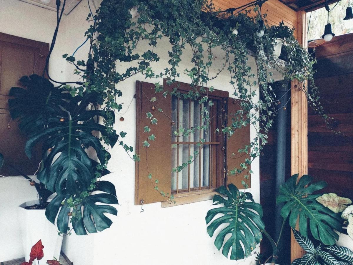 Soul Pnb Homestay Da Lat Exterior foto